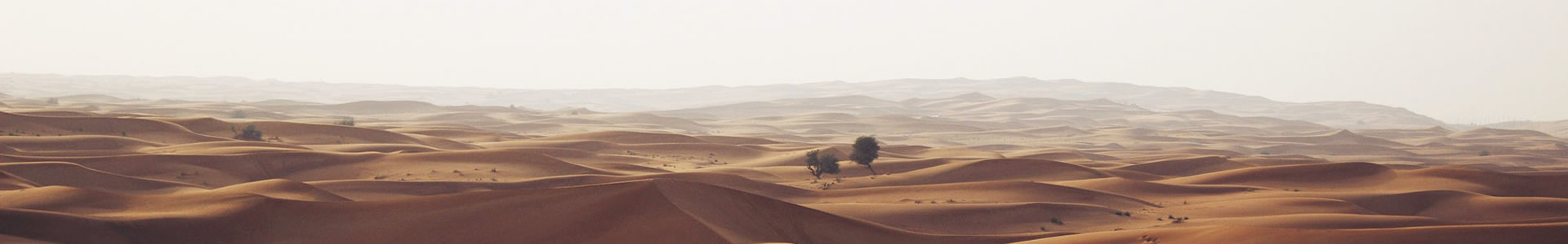 к½̼޹˾